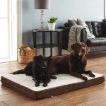 Soft Washable Dog Bed