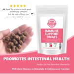 100% Natural Grain Free Immune Support Premium Treats | 70g