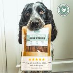 100% Natural Pure Beef Treats | 100g