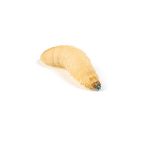 Waxworms Live Reptile Food 15-20mm 15g (Home Delivery)