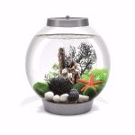 Baby BiOrb with Light 15 Litre Coldwater Aquarium Kit