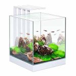 Ciano Nexus 25 LED Aquarium Light 22 Litres Tank White