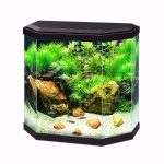 Ciano Aquarium Black 25 Litre