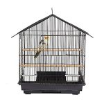 Rainforest Cages Fun Virginia Small Bird Cage