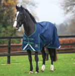 Mackey Keadeen Standard Neck 100G Turnout Rug