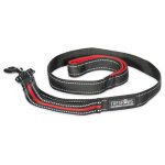 Trespaws Buster Dog Lead Postbox Red