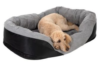 Lazy Dog Bed