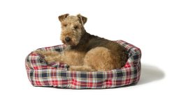 Danish Design Pet Dog Bed Lumberjack Red-Grey Deluxe Slumber