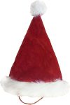 Dog Life Santa Hat