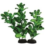 Hugo Kamishi Shinnerisa Green