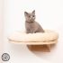 Hygienic Dog Bed