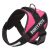 Dog Harness – Bunty Voyage fabric dog harness
