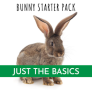 The Bunny Starter Pack