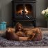 Bunty Stainless Steel Dog Bowl