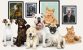 Get 10% OFF Quality Pet Portraits