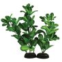 Hugo Kamishi Shinnerisa Green