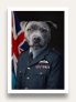 The RAF Officer – Custom Pet Portrait