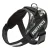 Dog Body Harness – Bunty Yukon Harness
