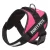 Dog Body Harness – Bunty Yukon Harness