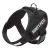 Dog Body Harness – Bunty Yukon Harness